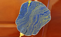 Double-Sided with Distinct Patterns